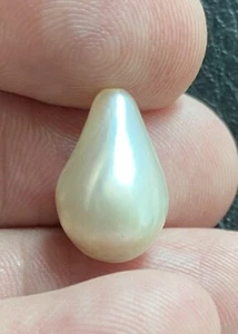 Magnificent Natural Pearl 10.10ct SSEF Certificate - Picture 1 of 12