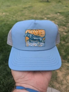 Orvis Hunting Dog Hat Pheasant Baseball Cap Blue Adjustable - Foto 1 di 3