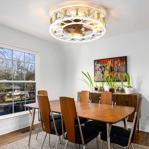 Caged Ceiling Fan with Lights Remote Control,Semi -embedded Modern Ceiling fans - Picture 1 of 11
