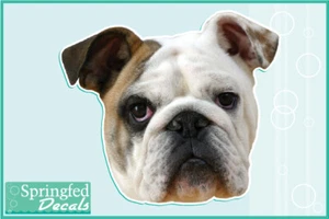 BULLDOG Head Vinyl Decal #1 Car Truck Dog Sticker - Picture 1 of 1