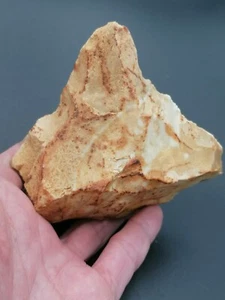 Middle Paleolithic Neanderthal France Large Mousterian nose scraper in flint - Picture 1 of 22