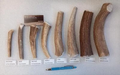 MICHIGAN ANTLER CHEWS Antler Chews for Dogs / Elk Deer Antler Treats Chews - Pick your size / Options