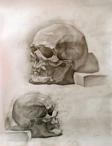 Academic Drawing Anatomy Scull Study Graphite Vintage Russian Realistic School - Picture 1 of 1