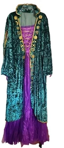 Medieval Witch Green Purple Crushed Velvet Dress Size 2XL Winifred Sanderson NEW - Picture 1 of 4