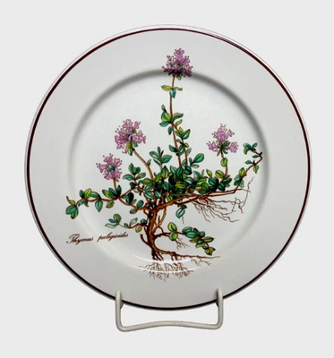 Kuchenteller / Frühstücksteller Villeroy & Boch Botanica sehr guter Zustand - Bild 1 von 3