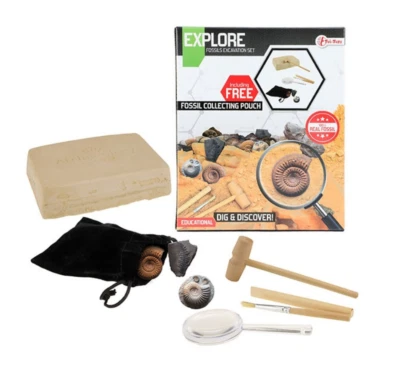 TOITOYS Ausgrabungsset Fossilien Experiment Lernen Kinder Familie Lernspiel