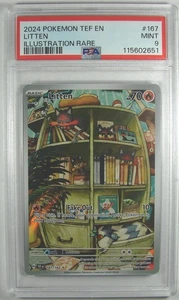 Pokémon 2024 Temporal Forces LITTEN PSA 9 MINT Illustration Rare - Bild 1 von 2