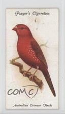 1933 Player's Aviary and Cage Birds Tobacco Australian Crimson Finch #37 a8x