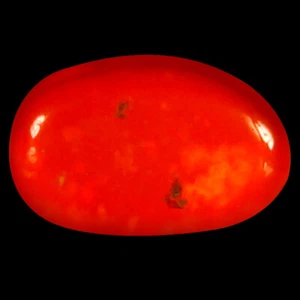 1.25 ct Amazing Fancy Cabochon (11 x 7 mm) Flashing Multicolor Red Fire Opal - Picture 1 of 1