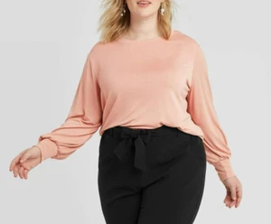 Ava & Viv Women's 2X Plus Long Sleeve Crewneck Sandwash Top, Pink, $25, NwT - Picture 1 of 8