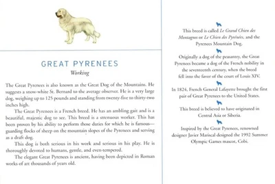 Grandes Pirineos - Impresión artística de perro PERSONALIZADA MATE - Descripción e historia de la raza Foto 1 de 2