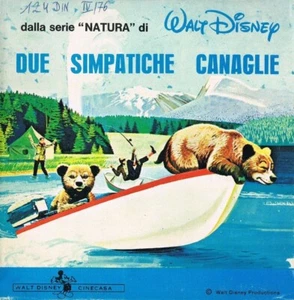 BEAR TROUBLE aka. THE BEARS AND I (1974) WALT DISNEY - ITALY SUPER 8 B. N. - Picture 1 of 1