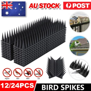 12/24X Bird Spikes Deterrent Anti Human Possum Spiked Mouse Pest Control Fence - Picture 1 of 22