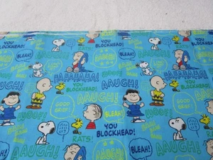 Peanuts Conversational Fabric (2021, Springs Creative) #CP74964 **43" x 36" - Picture 1 of 4