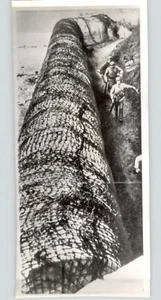 SOLDATI Passeggiata Lungo MURO ATLANTICO Armati Seconda Guerra Mondiale 1943 Stampa Foto - Foto 1 di 2