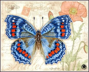 Butterfly Lover  1387 Chart Counted Cross Stitch Pattern Needlework - Bild 1 von 5