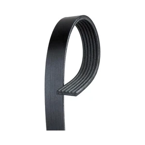6K591 AC Delco Serpentine Belt for Ford EcoSport Focus Fiesta 2014-2017 - Picture 1 of 2
