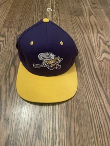 Sombrero trasero a presión de lacrosse Golden Flyers de NAZARETH COLLEGE - Imagen 1 de 4