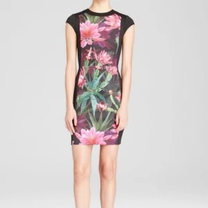 Ted Baker Women Ellika Chameleon Jungle Floral Print Bodycon Dress Pink Green XS - Picture 1 of 8