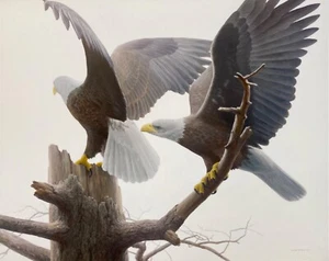 Robert BATEMAN Landings Bald Eagle Giclee Canvas Signed & Numbered LTD Art 36x45 - Picture 1 of 10