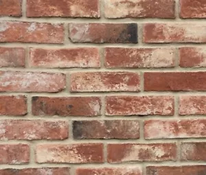 Bayswater Blend Brick Slips Brick Tile Brick Cladding Wall Cladding SAMPLE - Picture 1 of 4