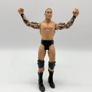 2010 Randy Orton Basic Action Figure WWE Mattel RKO - Picture 1 of 4