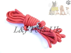 Stark Nylon Seil Hund Welpe Leine Trigger Clip, Champion - Picture 1 of 9