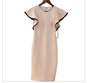 Calvin Klein Women's Puff Sleeve Sheath Dress in Blush Pink NEW Size 2 New - Picture 1 of 9