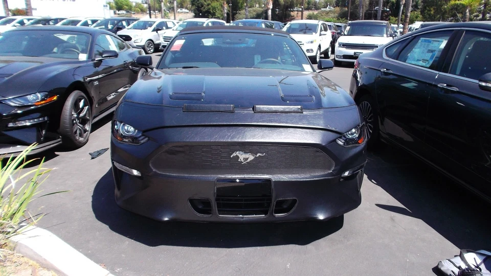 Colgan CF Front End Mask Bra 2pc.Fits Ford Mustang GT & Ecoboost 2018-23 W/OLic - Image 1 of 1