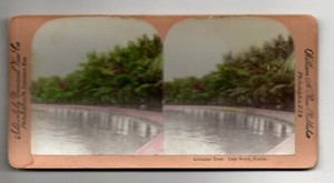 Stereoscope Color Card - Coconut Trees Lake Worth FL William H Rau Publisher