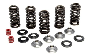 Yamaha WR/YZ 250F 01-13 Kibblewhite Kit Completo de Muelle de Válvula Titanio 80-80066 - Imagen 1 de 1