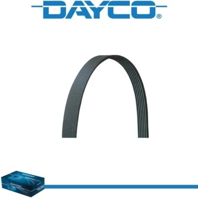 Dayco V-Ribbed Belt for JEEP WRANGLER 1997-1999 L6-4.0L - Image 1 of 4