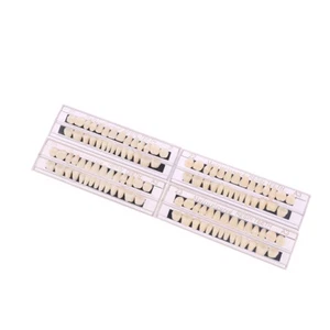 56Pcs/2Box Dental Denture Synthetic Resin Teeth False Teeth Upper / Lower Shade - Foto 1 di 16
