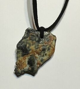 Agatized Fossilized Jasper Pendant Necklace