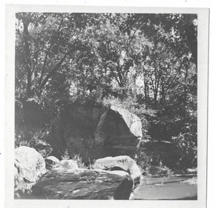 Vintage 1930er Foto Rock Creek State Park Jasper County Natur Baum Iowa Lot - Bild 1 von 4