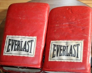 EVERLAST PRO STYLE BOXING BAG GLOVES VINTAGE MODEL 4306 good working shape - Picture 1 of 7