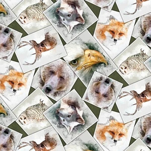 Nature's Window Forest Greg Art for Riley Blake Quilt Fabric 43/44" Wide - Picture 1 of 1