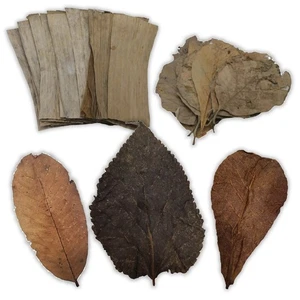 Catappa Mulberry Banane Teak Blätter für Aquarium Garnelen Aquarium Betta - Bild 1 von 5
