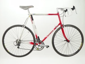 Giant Speeder Lite Roadbike Rennrad Size 66cm Exage Motion Refurbished - Picture 1 of 5