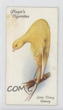 1933 Player's Aviary and Cage Birds Tobacco Scots Fancy Canary #11 c6i