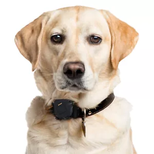 GPS Tracker for Dogs | Waterproof | Unlimited Range | UBEE RANGER - Picture 1 of 6