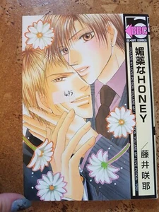Honey japanischer Manga Shonen ai - Bild 1 von 2