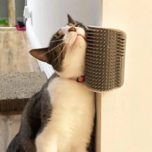 Cat Soft Brush - Picture 1 of 8
