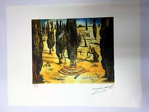 Salvador Dali Litografia off set cm 50x65 firma su lastra con certificato - Bild 1 von 9