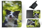 Case Cover For Apple Ipad|border Collie Dog 15