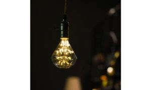 Weanas Vintage LED Light Bulb, E26/E27 1.6W Squirrel Cage Decor Light Bulb - Picture 1 of 1