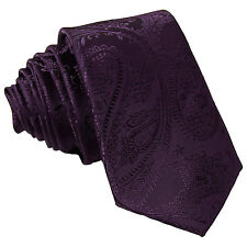 New Men's Polyester Woven 2.5" skinny necktie only paisley dark purple formal