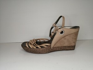 clarks wedge pump