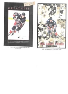 Wayne Gretzky Los Grandes Años 1999 Costaco Brothers Póster Promocional - Imagen 1 de 1