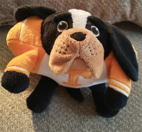 Tennessee Vols Orbiez Plush From 2011 Cover